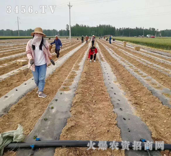 2020��鱘�(sh��)ӆ�λ����(xi��ng)Ŀ12