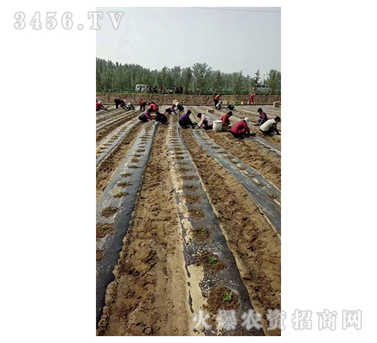 2020��鱘�ӆ�λ����Ŀ2