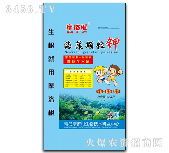 �����w���-Ħ���-���A����