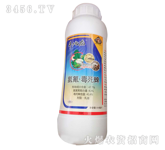 ���衤����������-������-�W�ρ�