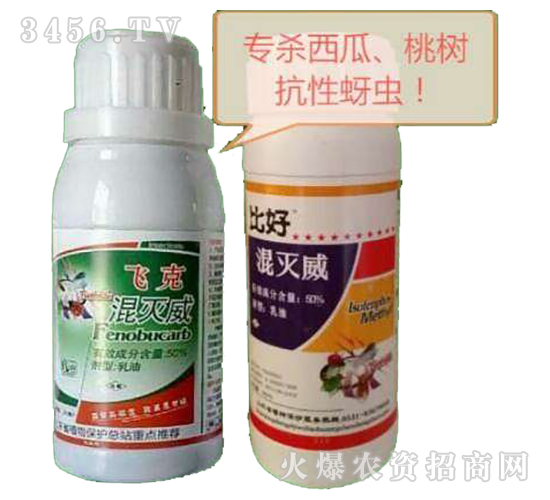 �����-�w��+�Ⱥ�-�W�ρ�