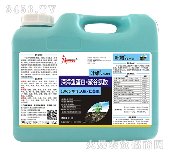 �ָ�����������~���ס��۹Ȱ���160-70-70+TE-�~��-�s��