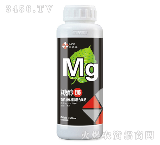 �ЙCҺ�w�Ǵ������V��-�Ǵ��V-�R���S