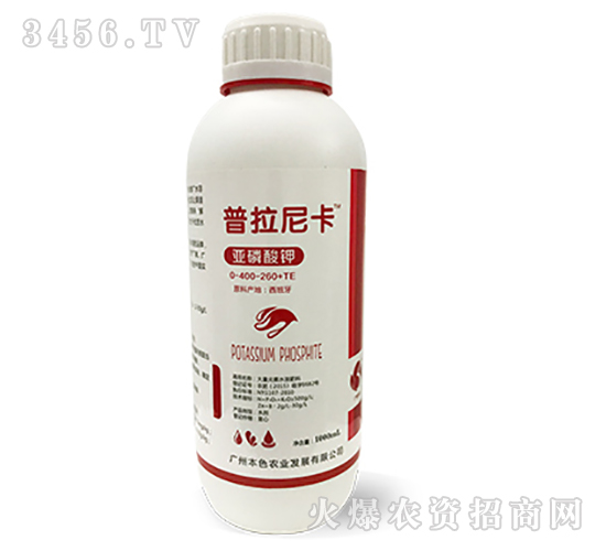 �������-�����Ῠ-��ɫ�r(n��ng)�I(y��)