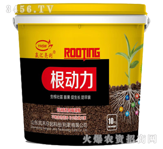 ������-���R