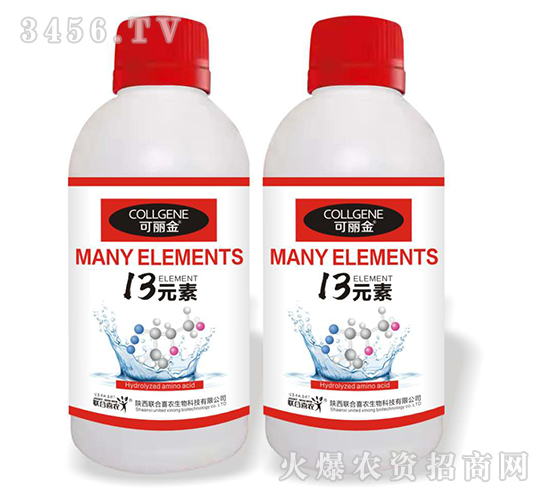 13Ԫ��-������-(li��n)��ϲ�r(n��ng)