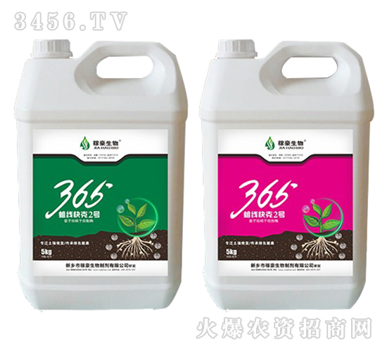 365�������1-�ں�����