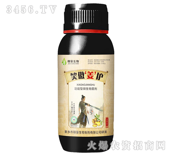 Ц�����o(h��)-�ں�����