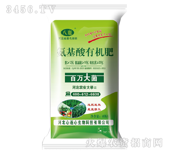 �������ЙC(j��)��-���B��