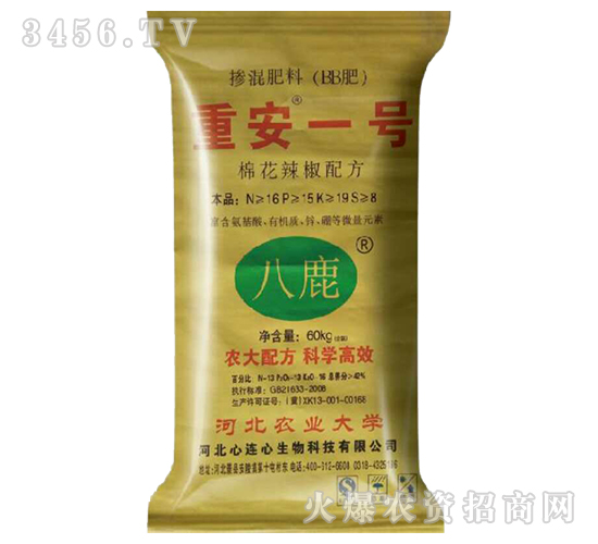 �������-�ذ�һ̖-���B��