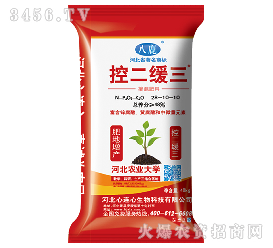 �ض�����28-10-10-���B��