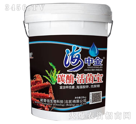 ̼ø�������-���н�-�Z����