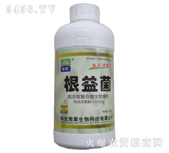 �ߝ�s��(f��)��΢�������-�����-�´�����