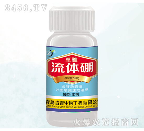 ������-׿��-����