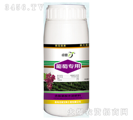 ���ь���-׿��-����