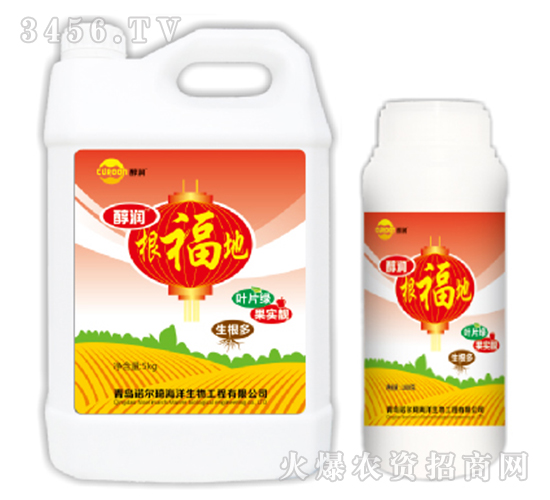 ������-����(r��n)-�Z����