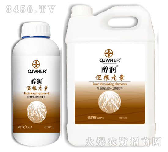 �ٸ�Ԫ��-����(r��n)-�Z����