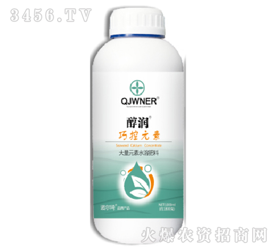 �ɿ�Ԫ��-����(r��n)-�Z����