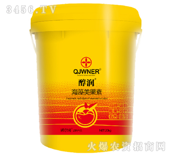 ����������-����-�Z����