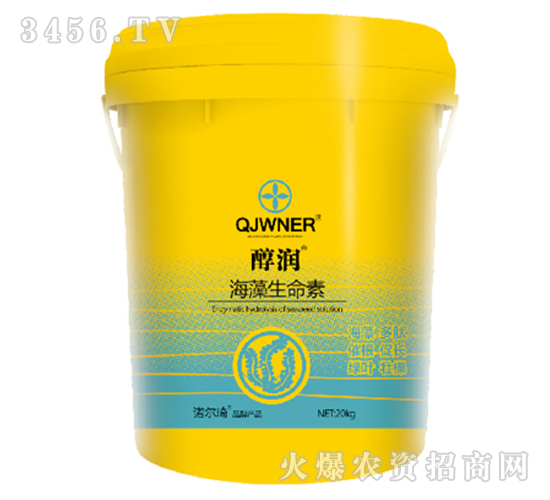 ����������-����-�Z����