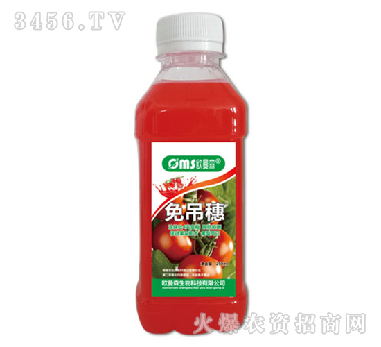 �����-�W��ɭ