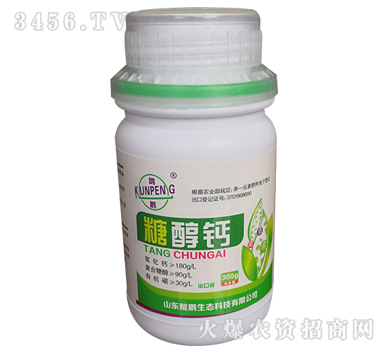 �Ǵ��}-�d�i-�H�i���B(t��i)