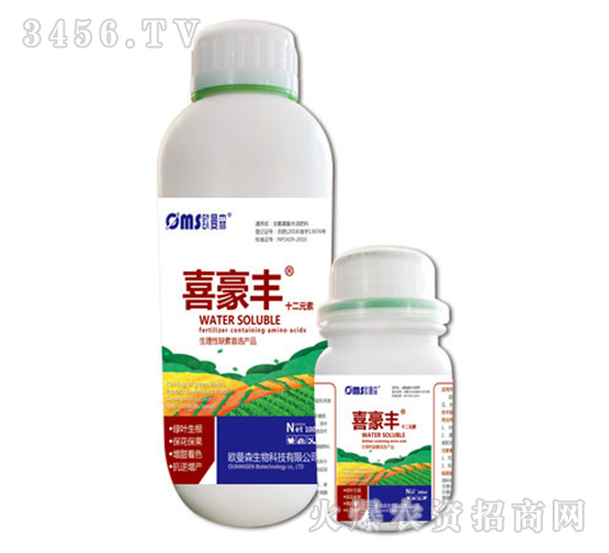 ϲ���S-ʮ��Ԫ��-�W��ɭ