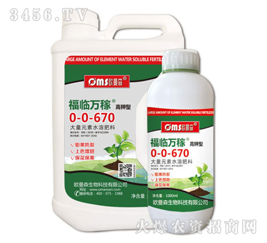 ���R�f(w��n)��0-0-670-�����-�W��ɭ