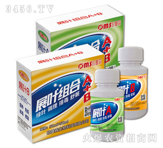 չ�~�M��A+B-�W��ɭ