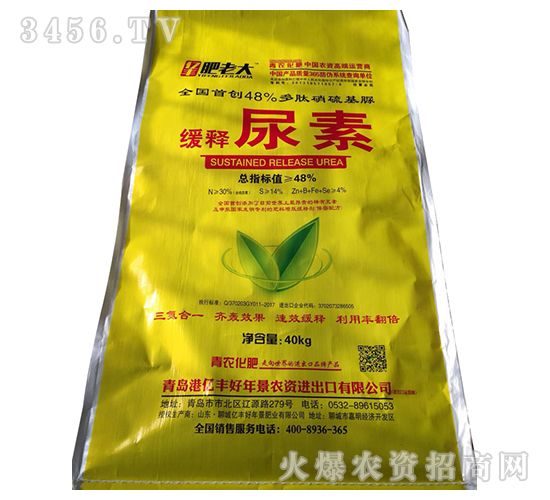 �������-���ϴ�-�|�S