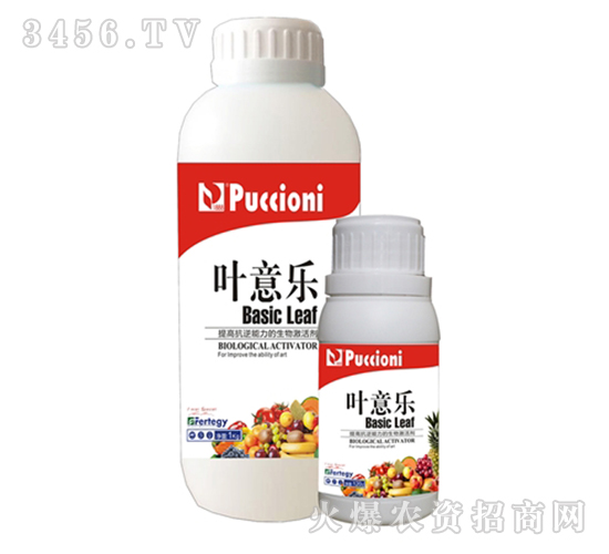 ���Ｄ�-�~�☷-����ؐ��