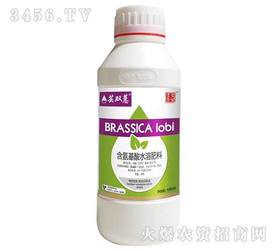 ��������ˮ�ܷ���-�|�pޥ-ʥ���S