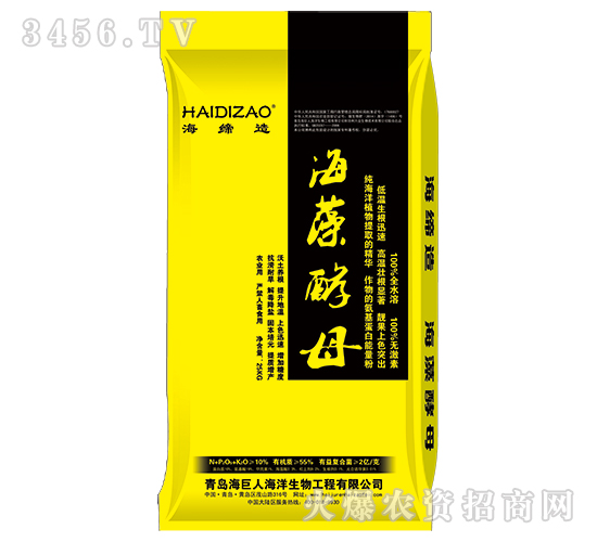 �����ĸ-������-������