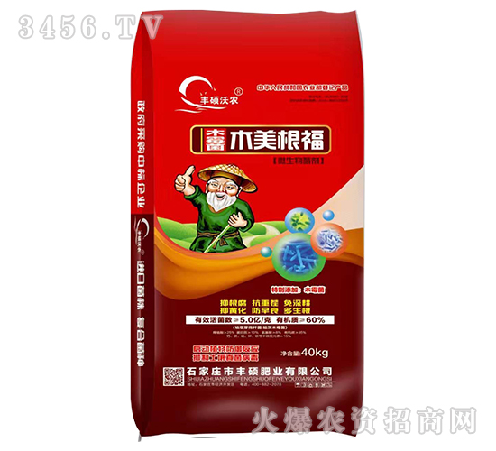 ΢�������-ľù��ľ������-�S�T�ʘI(y��)