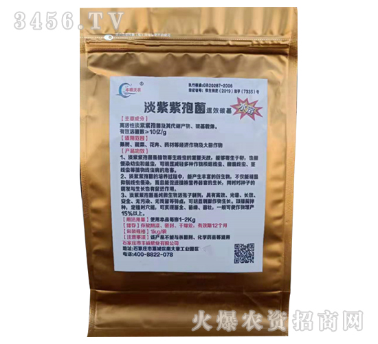 10�|�������߾�-�S�T�ʘI(y��)