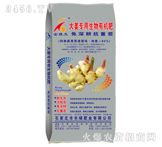 �󽪌��������ЙC(j��)��-�S�T�ʘI(y��)