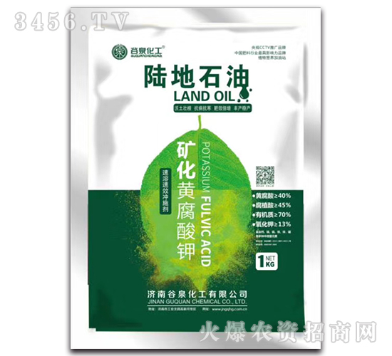 �V���S�����-ꑵ�ʯ��-��Ȫ����