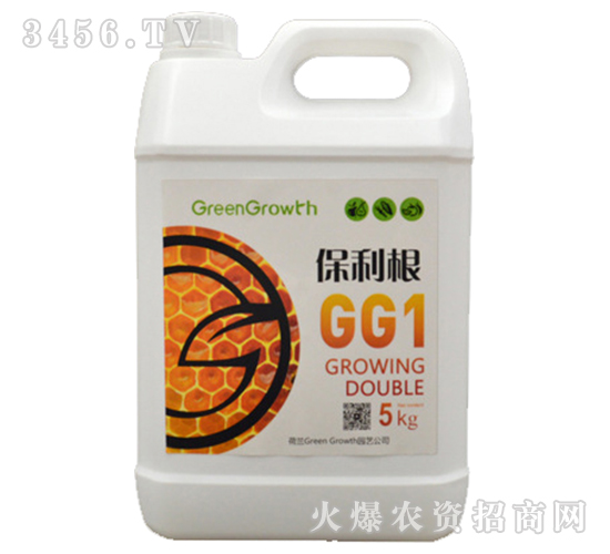 ��ֲ��A�Է���-������-��֮��