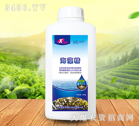 ���徫-�κ�����