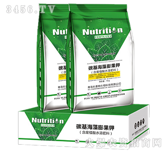 ̼����������-������