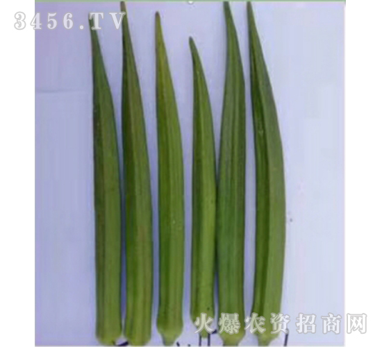 �G����N��-��ʥ��