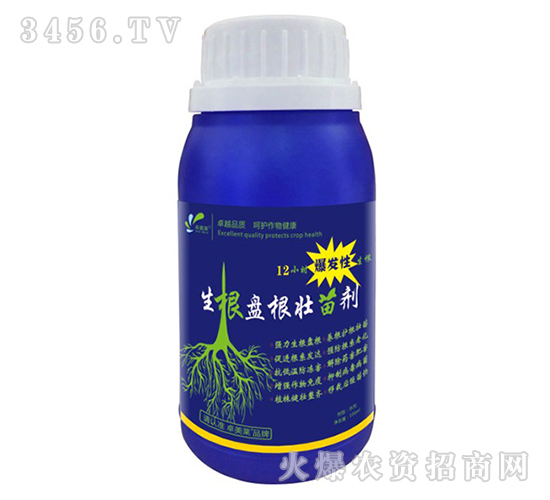 �����P(p��n)�����焩-׿�R��-׿���r(n��ng)�I(y��)