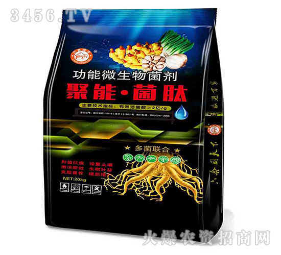 ���ܡ�����-�Ɲ�