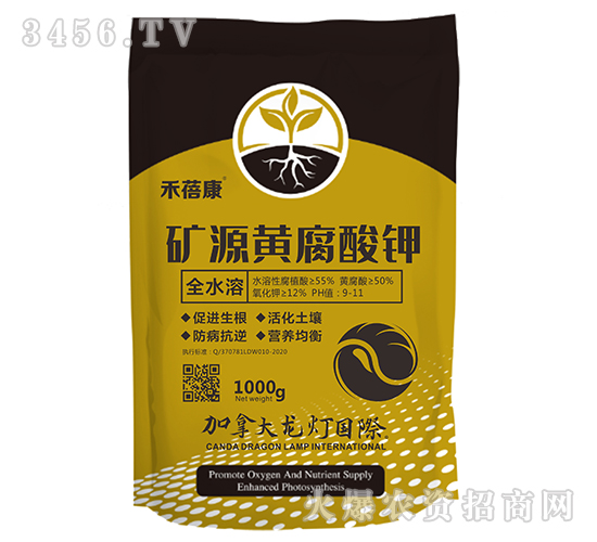 �VԴ�S�����-������-����