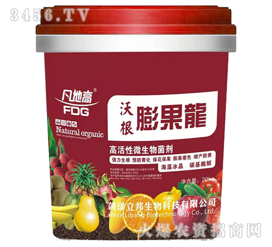 �ָ��������-��������