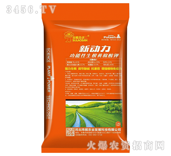 �����������S�����-����-�|��