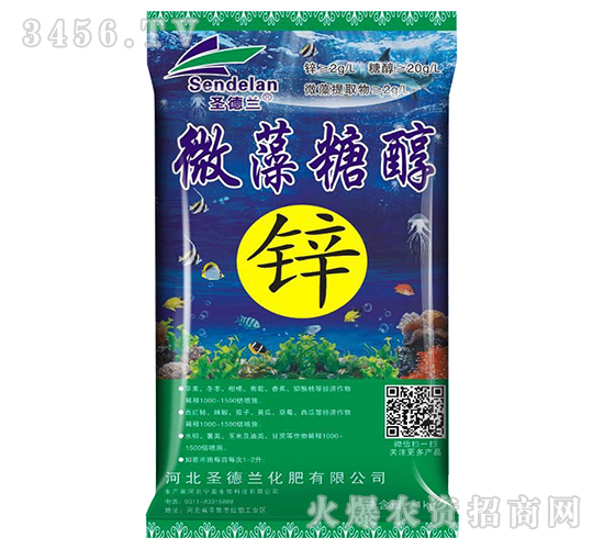 ΢���Ǵ��\-ʥ���m