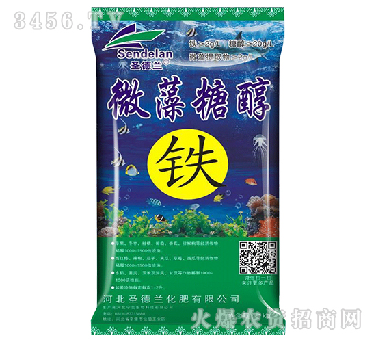 ΢���Ǵ��F-ʥ���m