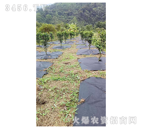 ���@���ݲ�-����