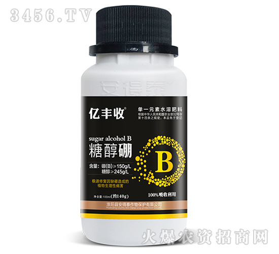 �Ǵ���-�|�S��-����̩